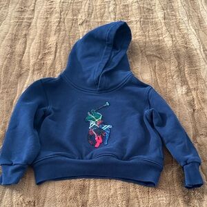 Polo by Ralph Lauren Kids Hoodie in Navy with Multicolor Logo